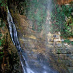 Ein Gedi National Park