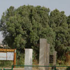 Eilat Bird-Watching Park