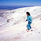 Mt. Hermon