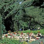 Mount Herzl Cemetery