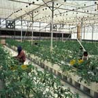 Yair Experimental Station