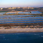 Bird Watching Site - Ma'ayan Tsvi Fish Pools