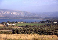 The Kinneret Trail