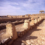 Agricultura Especial de Aravá
