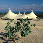 Ein Gedi - Dulce y Salado