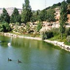 Zoo Bíblico Familia Tisch