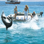 Arrecife Delfines
