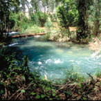 Por la Orilla del Jordán