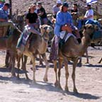 Atracciones en el Campo