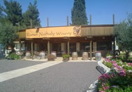 Ramot naftaly winery